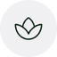 Lotus flower