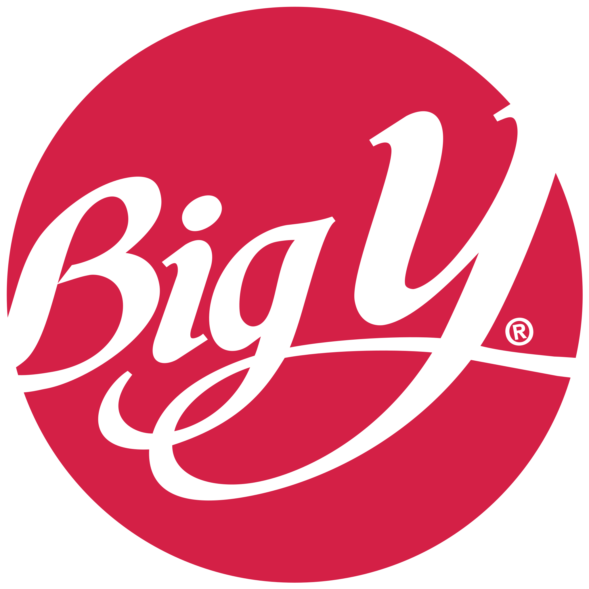 Big Y logo